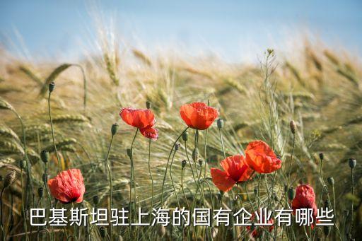 百聯(lián)集團是國企嗎,上海百聯(lián)集團股份有限公司是國企嗎