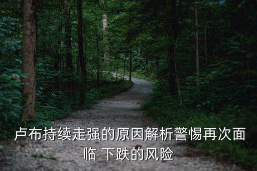  盧布持續(xù)走強的原因解析警惕再次面臨 下跌的風(fēng)險