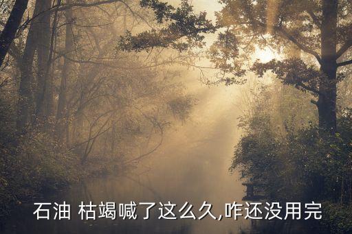 中國能源報》刊登 石油枯竭論越來越沒人信