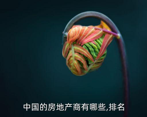 中國的房地產商有哪些,排名