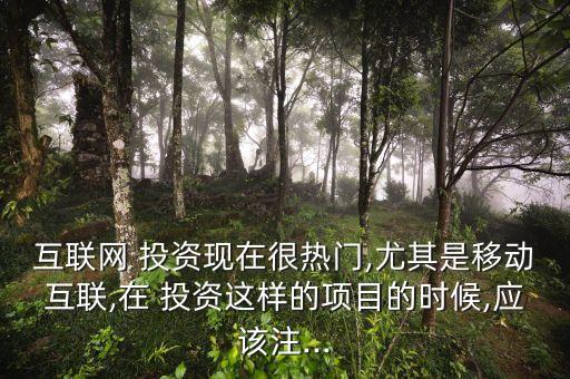 互聯(lián)網(wǎng) 投資現(xiàn)在很熱門,尤其是移動互聯(lián),在 投資這樣的項目的時候,應該注...