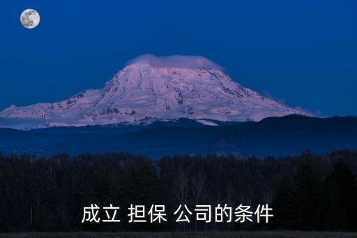 非融資性擔(dān)保公司如何注冊(cè)