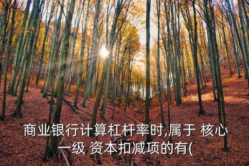 商業(yè)銀行計算杠桿率時,屬于 核心 一級 資本扣減項的有(