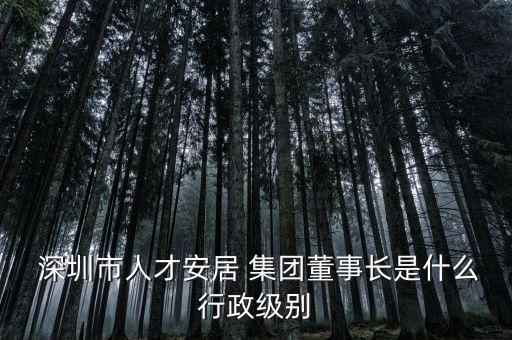 深圳市人才安居 集團(tuán)董事長是什么行政級(jí)別