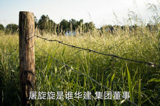 上海國(guó)盛集團(tuán)張立平,內(nèi)蒙古環(huán)投集團(tuán)張立平