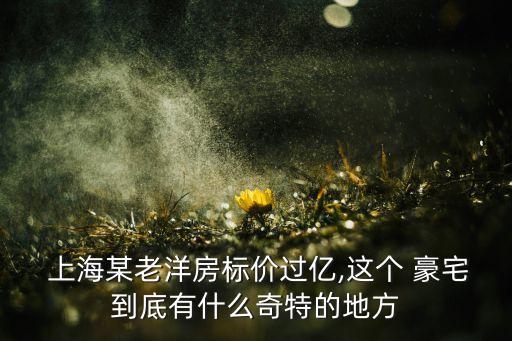  上海某老洋房標(biāo)價(jià)過億,這個(gè) 豪宅到底有什么奇特的地方