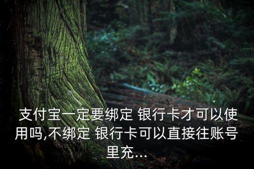  支付寶一定要綁定 銀行卡才可以使用嗎,不綁定 銀行卡可以直接往賬號(hào)里充...