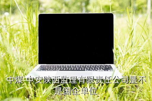 山西中安能源有限公司,山西國際能源集團(tuán)有限公司