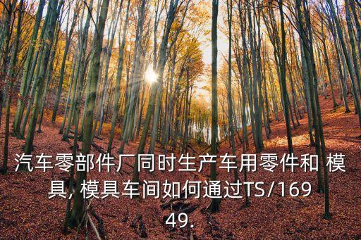 汽車零部件廠同時(shí)生產(chǎn)車用零件和 模具, 模具車間如何通過(guò)TS/16949.