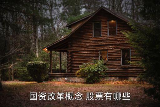 國資改革概念 股票有哪些
