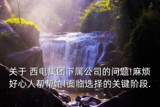 關(guān)于 西電集團(tuán)下屬公司的問(wèn)題!麻煩好心人幫幫忙!面臨選擇的關(guān)鍵階段...
