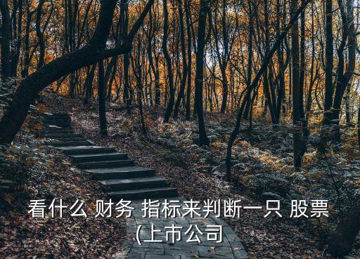 股票的財(cái)務(wù)指標(biāo),股票最重要的財(cái)務(wù)指標(biāo)
