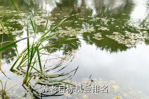 養(yǎng)老目標基金排名