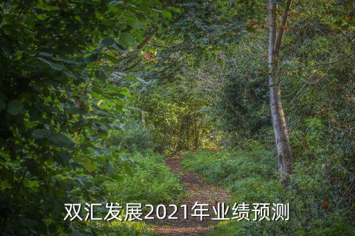 雙匯發(fā)展2021年業(yè)績預(yù)測