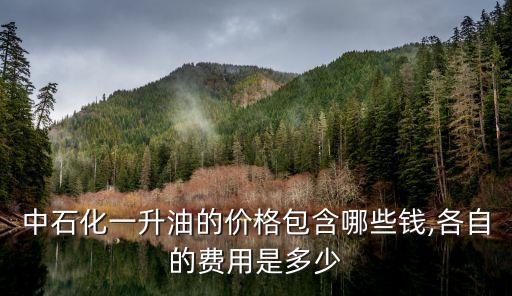 中石化一升油的價(jià)格包含哪些錢(qián),各自的費(fèi)用是多少