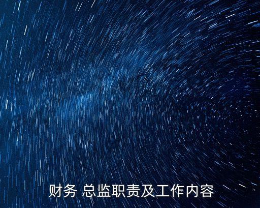  財(cái)務(wù) 總監(jiān)職責(zé)及工作內(nèi)容