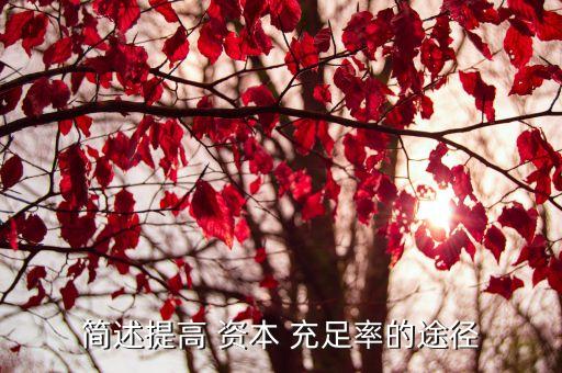 簡(jiǎn)述提高 資本 充足率的途徑