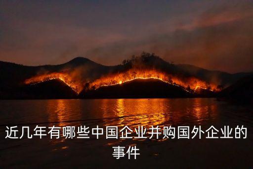近幾年有哪些中國(guó)企業(yè)并購(gòu)國(guó)外企業(yè)的事件