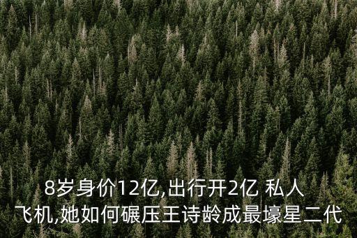 8歲身價(jià)12億,出行開2億 私人 飛機(jī),她如何碾壓王詩(shī)齡成最壕星二代