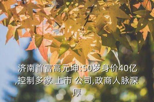 2013濟(jì)南上市公司,某上市公司自2013年起被認(rèn)定為