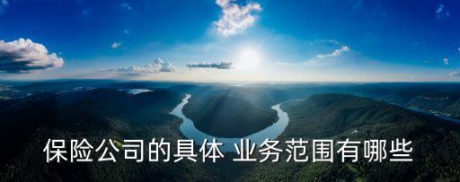 保險公司的具體 業(yè)務(wù)范圍有哪些