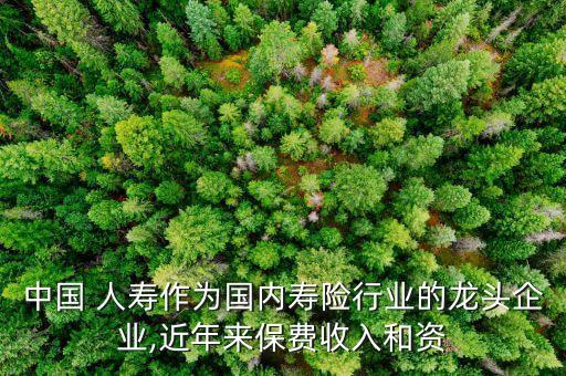 中國(guó) 人壽作為國(guó)內(nèi)壽險(xiǎn)行業(yè)的龍頭企業(yè),近年來保費(fèi)收入和資