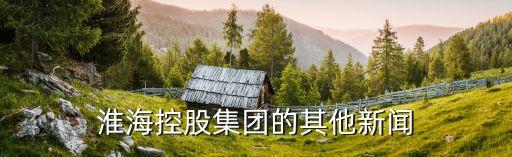 淮?？毓杉瘓F的其他新聞
