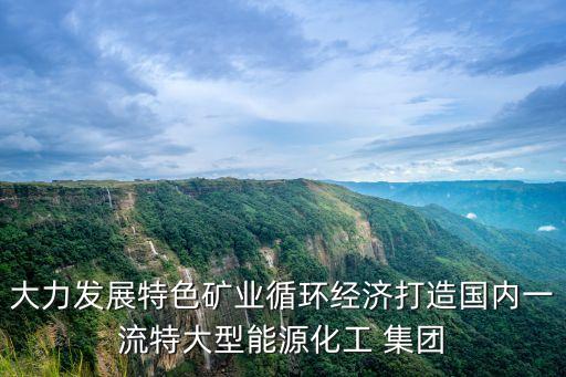 大力發(fā)展特色礦業(yè)循環(huán)經(jīng)濟(jì)打造國內(nèi)一流特大型能源化工 集團(tuán)