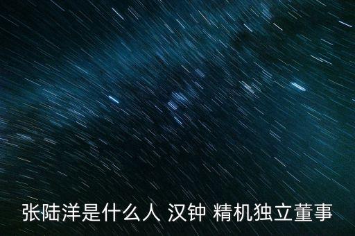 張陸洋是什么人 漢鐘 精機(jī)獨(dú)立董事