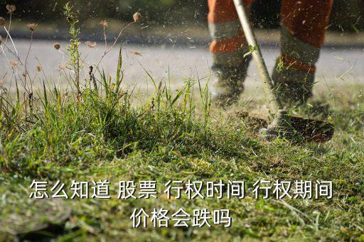 怎么知道 股票 行權時間 行權期間價格會跌嗎