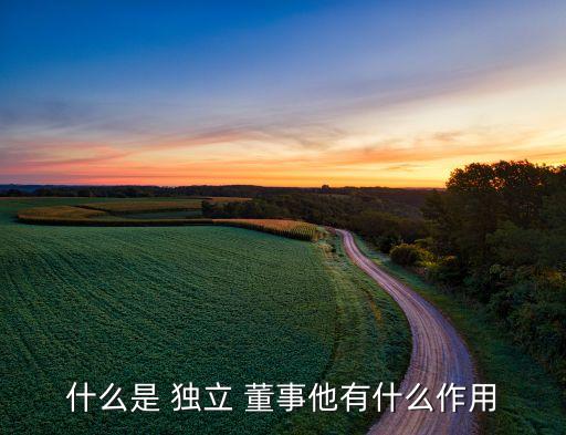 什么是 獨立 董事他有什么作用