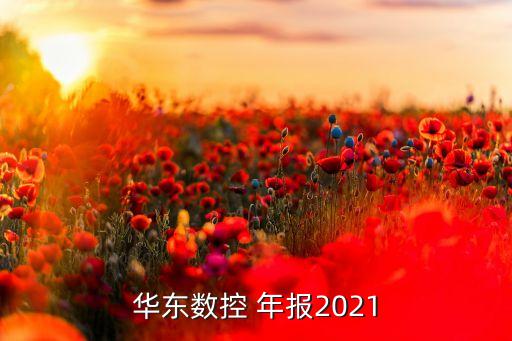 上海華嶺2013年報(bào)pdf