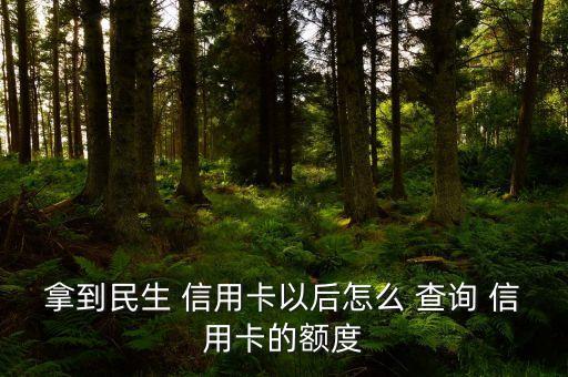 民生銀行信用卡怎么查詢欠款,民生信用卡欠款10萬逾期暫時(shí)還不上