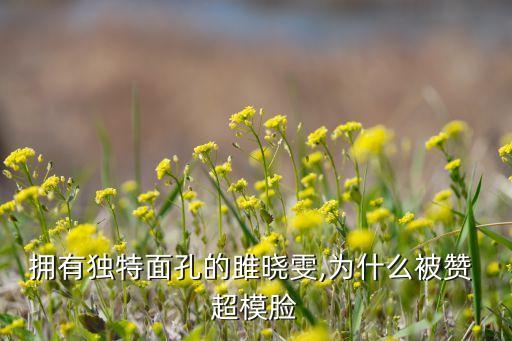 中國(guó)超模外媒,中國(guó)十大超模