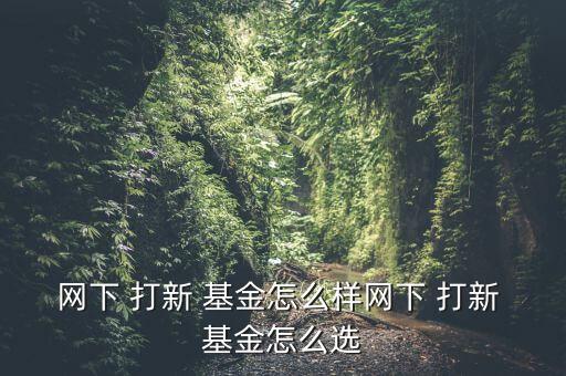 網下 打新 基金怎么樣網下 打新 基金怎么選