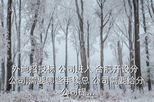 外地招投標 公司進入 合肥開設分 公司,需要哪些手續(xù)總 公司需要給分 公司提...