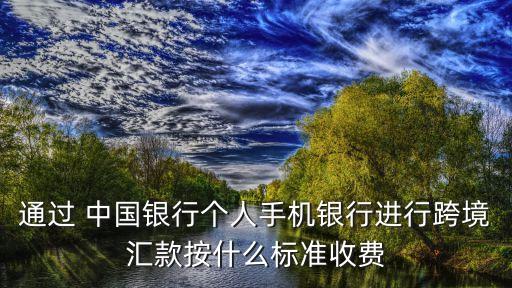 通過 中國銀行個(gè)人手機(jī)銀行進(jìn)行跨境匯款按什么標(biāo)準(zhǔn)收費(fèi)