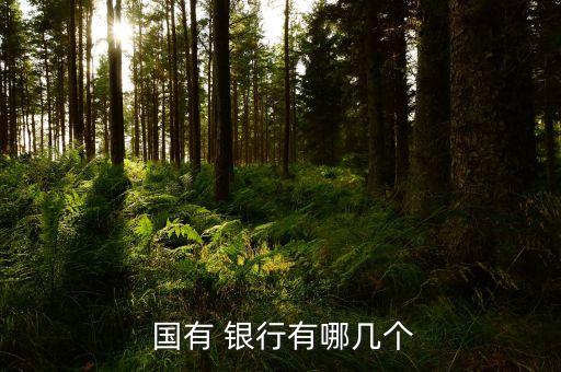 哪家銀行是國有銀行,郵政儲(chǔ)蓄銀行是國有銀行嗎