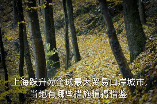  上海躍升為全球最大貿(mào)易口岸城市,當?shù)赜心男┐胧┲档媒梃b