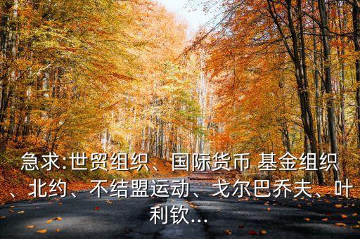 急求:世貿(mào)組織、國(guó)際貨幣 基金組織、北約、不結(jié)盟運(yùn)動(dòng)、戈?duì)柊蛦谭颉⑷~利欽...