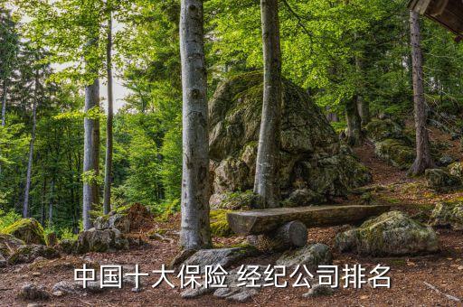 中國(guó)十大保險(xiǎn) 經(jīng)紀(jì)公司排名