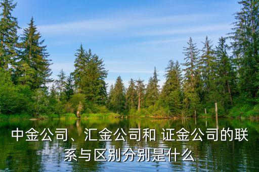 中金公司、匯金公司和 證金公司的聯(lián)系與區(qū)別分別是什么