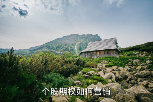 個(gè)股期權(quán)如何營銷