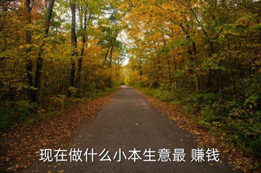 現(xiàn)在做什么小本生意最 賺錢(qián)