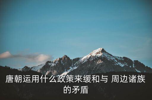 唐朝運(yùn)用什么政策來(lái)緩和與 周邊諸族的矛盾
