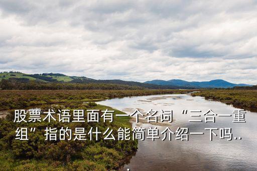  股票術(shù)語里面有一個(gè)名詞“三合一重組”指的是什么能簡(jiǎn)單介紹一下嗎...