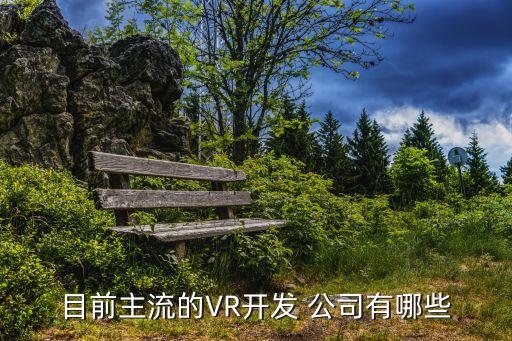 目前主流的VR開(kāi)發(fā) 公司有哪些
