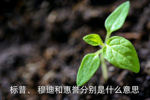 標(biāo)普、 穆迪和惠譽(yù)分別是什么意思