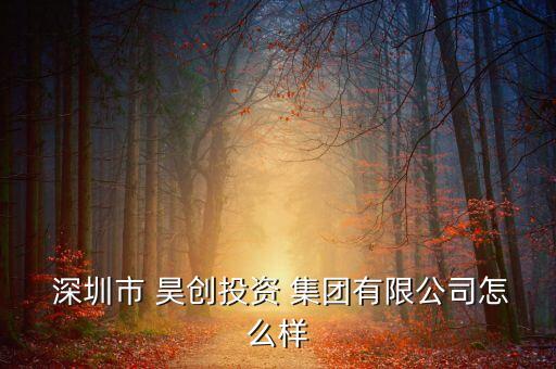  深圳市 昊創(chuàng)投資 集團有限公司怎么樣