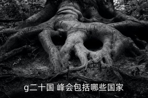 20國(guó)集團(tuán)首腦峰會(huì),中亞峰會(huì)來了幾國(guó)首腦
